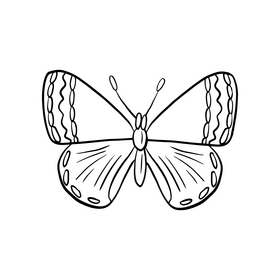 Moth cartoon black and white clipart