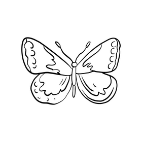 Moth cartoon black and white clipart
