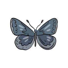 Moth cartoon clipart