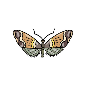 Cartoon moth clipart
