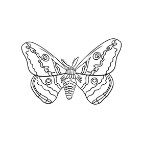 Cartoon moth black and white clipart