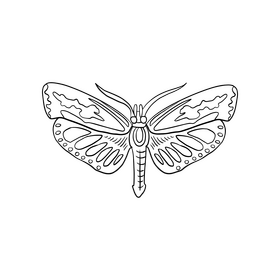 Moth black and white clipart