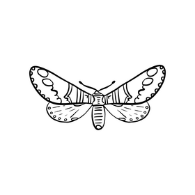 Free moth black and white clipart