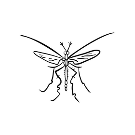 Mosquito black and white clipart
