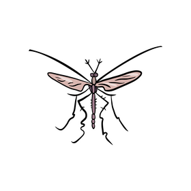 Mosquito clipart