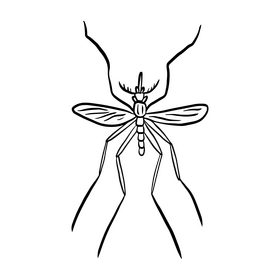Mosquito cartoon black and white clipart