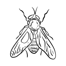 Mosquito black and white clipart