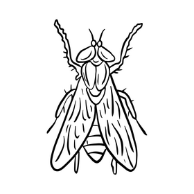 Mosquito cartoon drawing black and white clipart