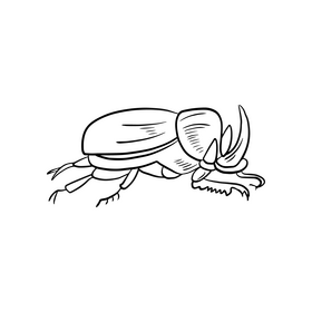 Beetle drawing black and white clipart