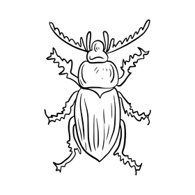 Beetle illustration black and white clipart