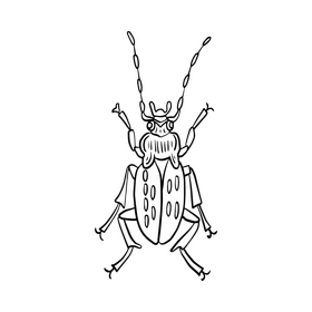 Beetle illustration black and white clipart