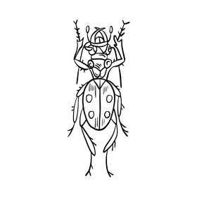 Free Beetle drawing black and white clipart