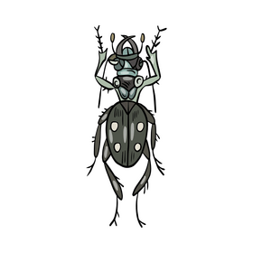 Free Beetle drawing clipart