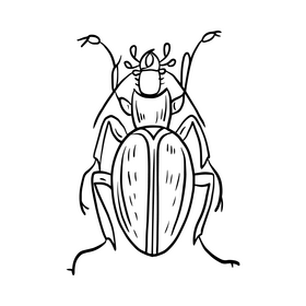 Beetle drawing black and white clipart
