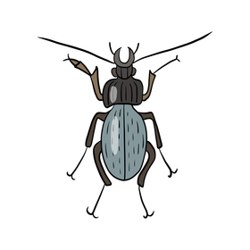 Free beetle clipart