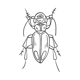 Beetle drawing black and white clipart