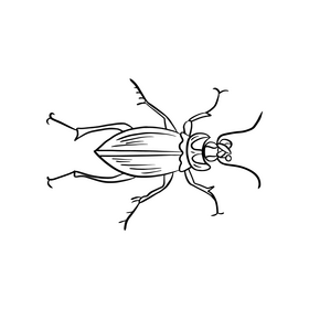 Beetle cartoon black and white clipart free download