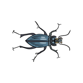 Beetle cartoon clipart