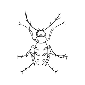 Beetle cartoon black and white clipart