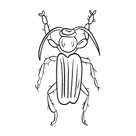 Cartoon beetle black and white clipart