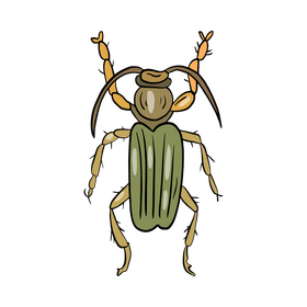 Cartoon beetle clipart