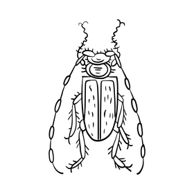 Cartoon beetle black and white clipart