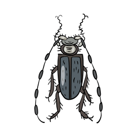 Cartoon beetle clipart
