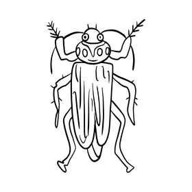 Beetle drawing black and white clipart