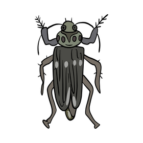 Beetle drawing clipart