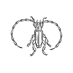 Beetle black and white clipart