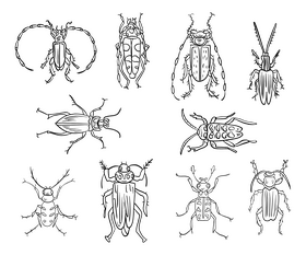 Beetles cartoon black and white vector free download