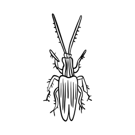 Beetle black and white clipart