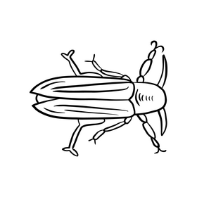 Beetle black and white clipart