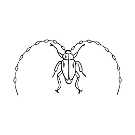 Free beetle drawing black and white clipart