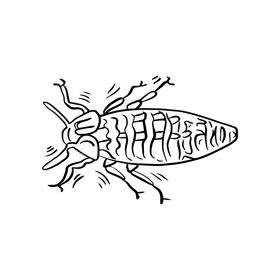 Beetle black and white clipart