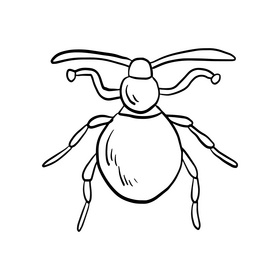 Beetle black and white clipart