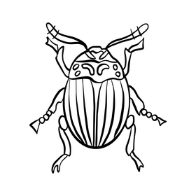 Beetle cartoon black and white clipart
