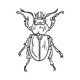 Beetle drawing black and white clipart