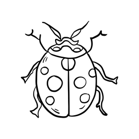 Beetle black and white clipart