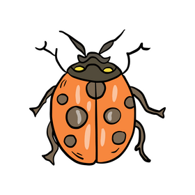 Orange beetle clipart