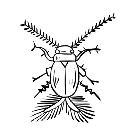 Beetle black and white clipart free download