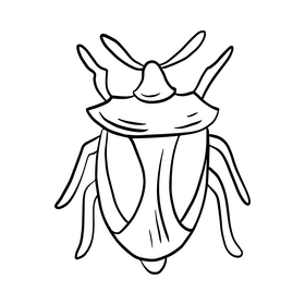 Cartoon stink bug black and white clipart