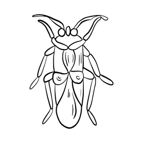 Stink bug black and white clipart free download