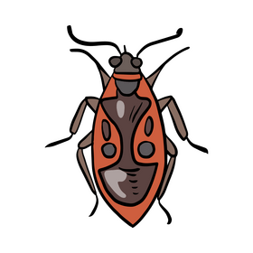 Red bug clipart