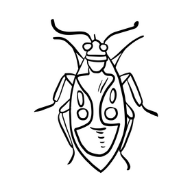 Stink bug drawing black and white clipart