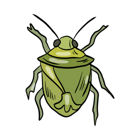 Green bug illustration clipart free download