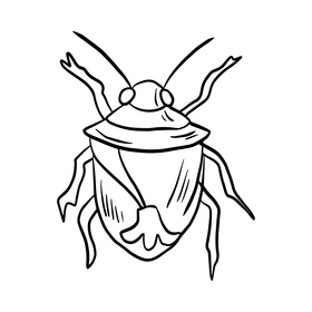 Cartoon stink bug illustration black and white clipart