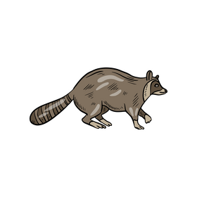 Badger animal clipart