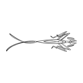 Stink bug black and white clipart