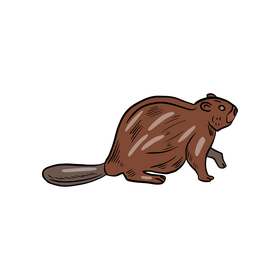 Beaver animal clipart